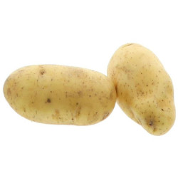 BIO PDT TENTATION 10KG